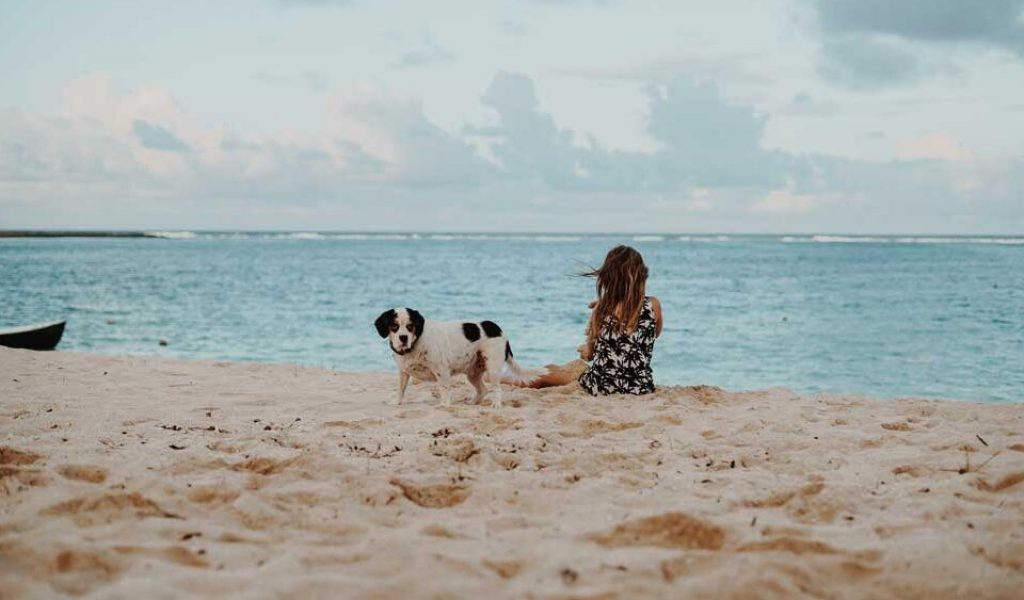 wade-lambert-HZV3rVvynaU-unsplash wade-lambert-HZV3rVvynaU-unsplash